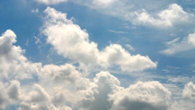 Cloud ERP Platform: Streamlining Business Operations With Efficiency